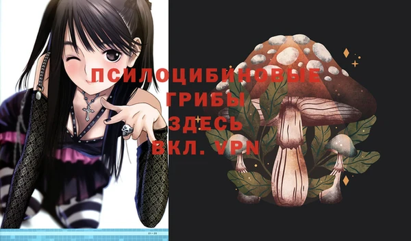 mix Арсеньев